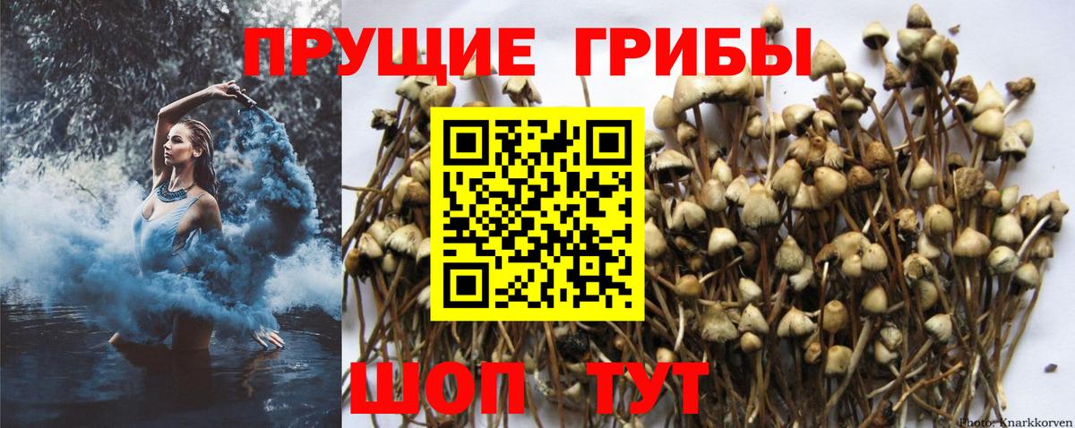 Галлюциногенные грибы прущие грибы  Вход с VPN  Сатка  цена   Галлюциногенные грибы Magic Shrooms 