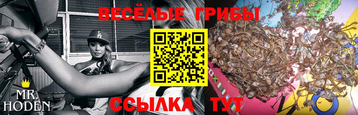 Галлюциногенные грибы прущие грибы Сатка